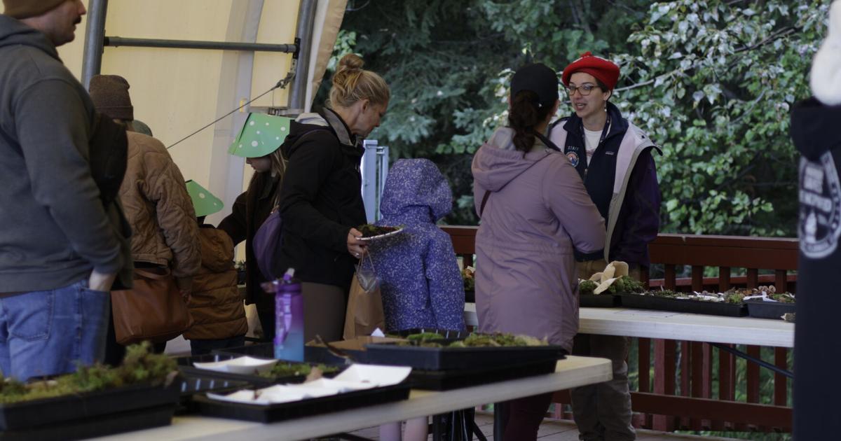 Fifth annual Fungi Festival celebrates mushrooms, creativity and community Amber McCain The Sun Star Sep 4, 2026 22 mins ago
