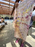 Botanical gardens to host botanical bundle dyeing