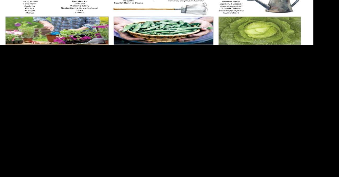 Spring 2022 seed planting chart | Gardening | newsminer.com