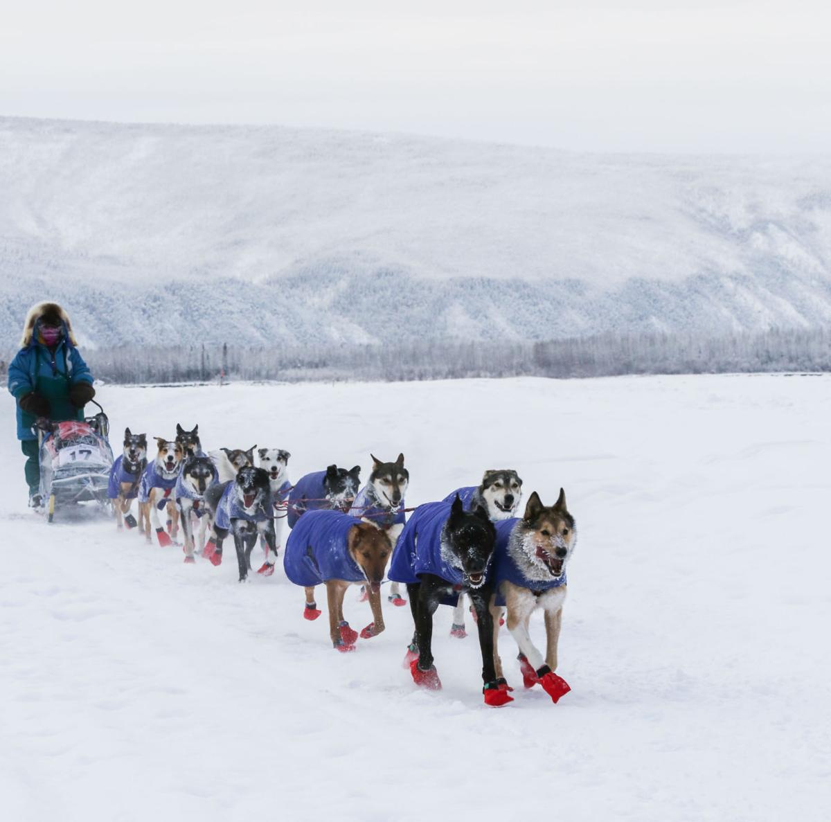 2019 Yukon Quest - Dawson City 3