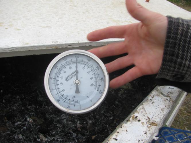 Yukon River Camp sprouts homegrown zucchini, sustainable waste system