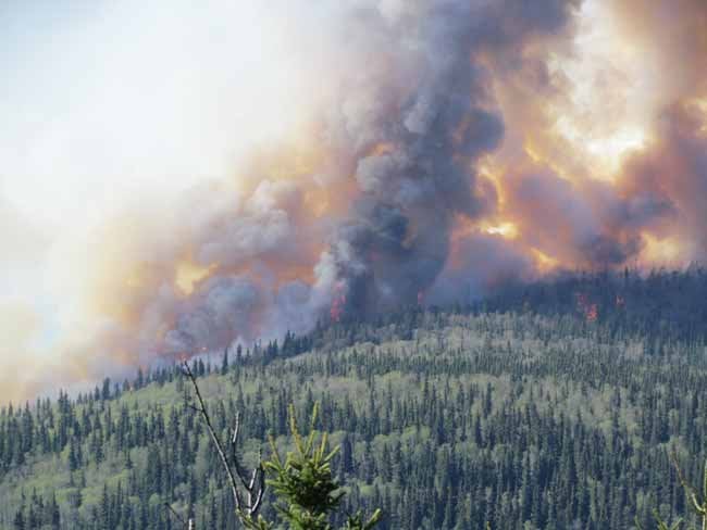 Fire in S. Fairbanks contained; crews battle 500-acre wildfire in ...