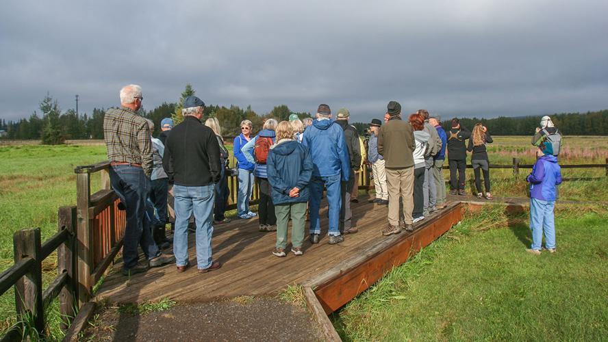 Crowds flock to annual sandhill crane festival at Creamer’s Field