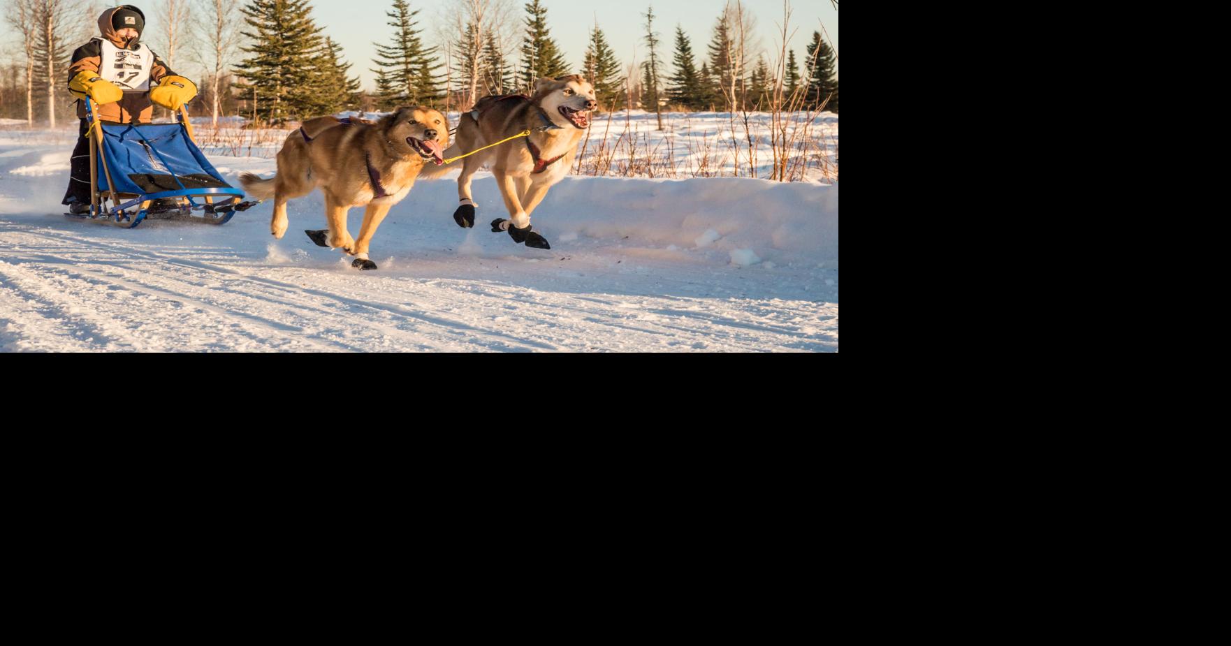 Noble Paws connects community members in need with the healing art of