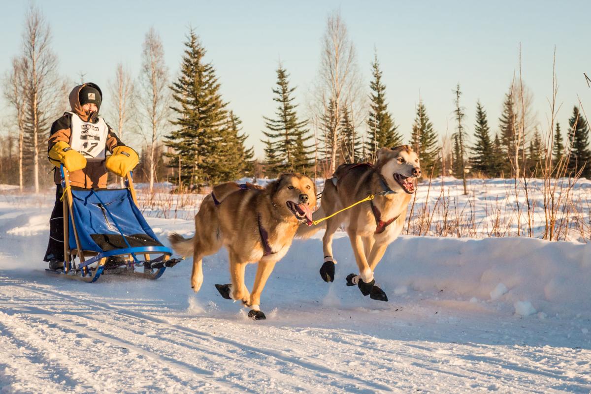 Noble Paws Connects Community Members In Need With The Healing Art