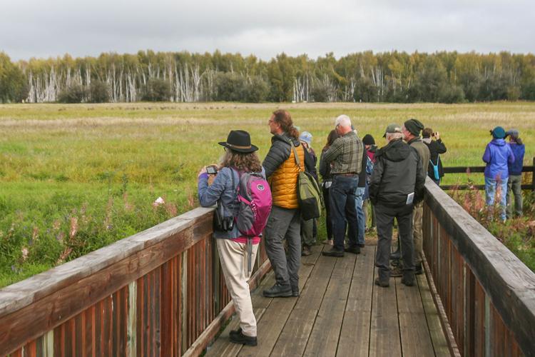 Crowds flock to annual sandhill crane festival at Creamer’s Field