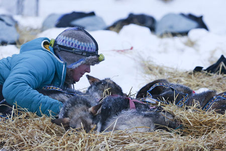 Yukon Quest: Central