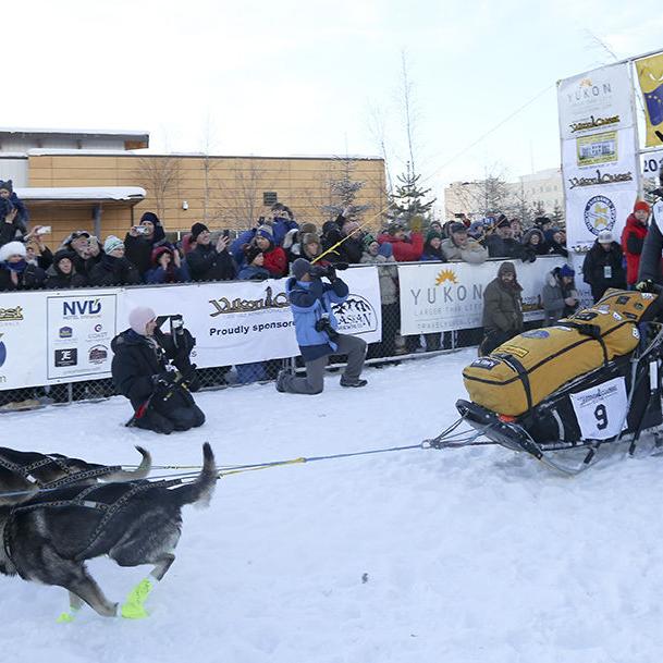 With 1 000 Miles To Go 2016 Yukon Quest Teams Hit The Trail Yukon Quest Newsminer Com