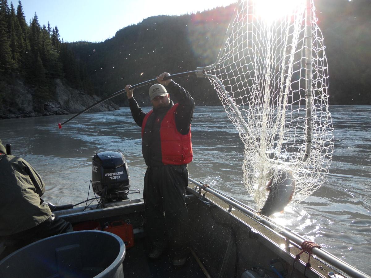Dipnetting on the Chitina