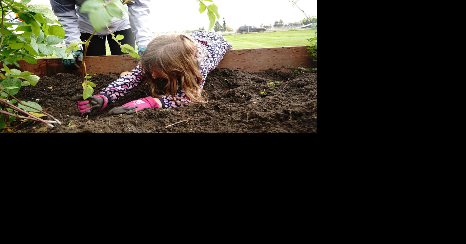 Sowing the seeds of knowledge