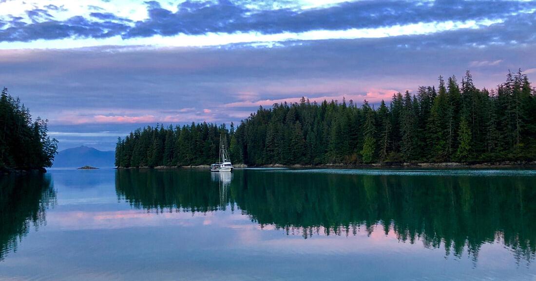 U.S. Capitol Christmas tree will come from Alaska's Tongass National Forest | Alaska News - Vimarsana News
