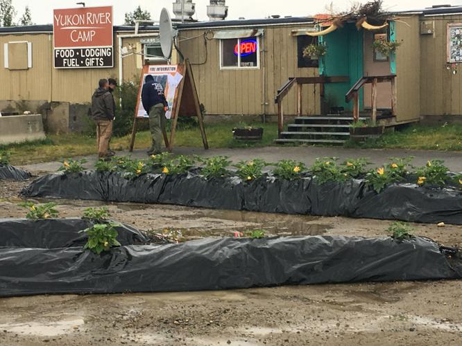 Yukon River Camp sprouts homegrown zucchini, sustainable waste system