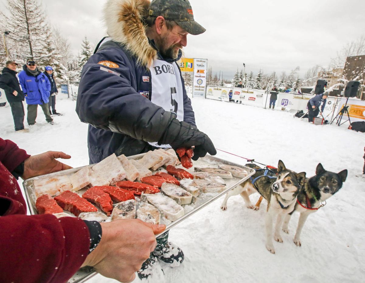 2019 Yukon Quest - Fairbanks