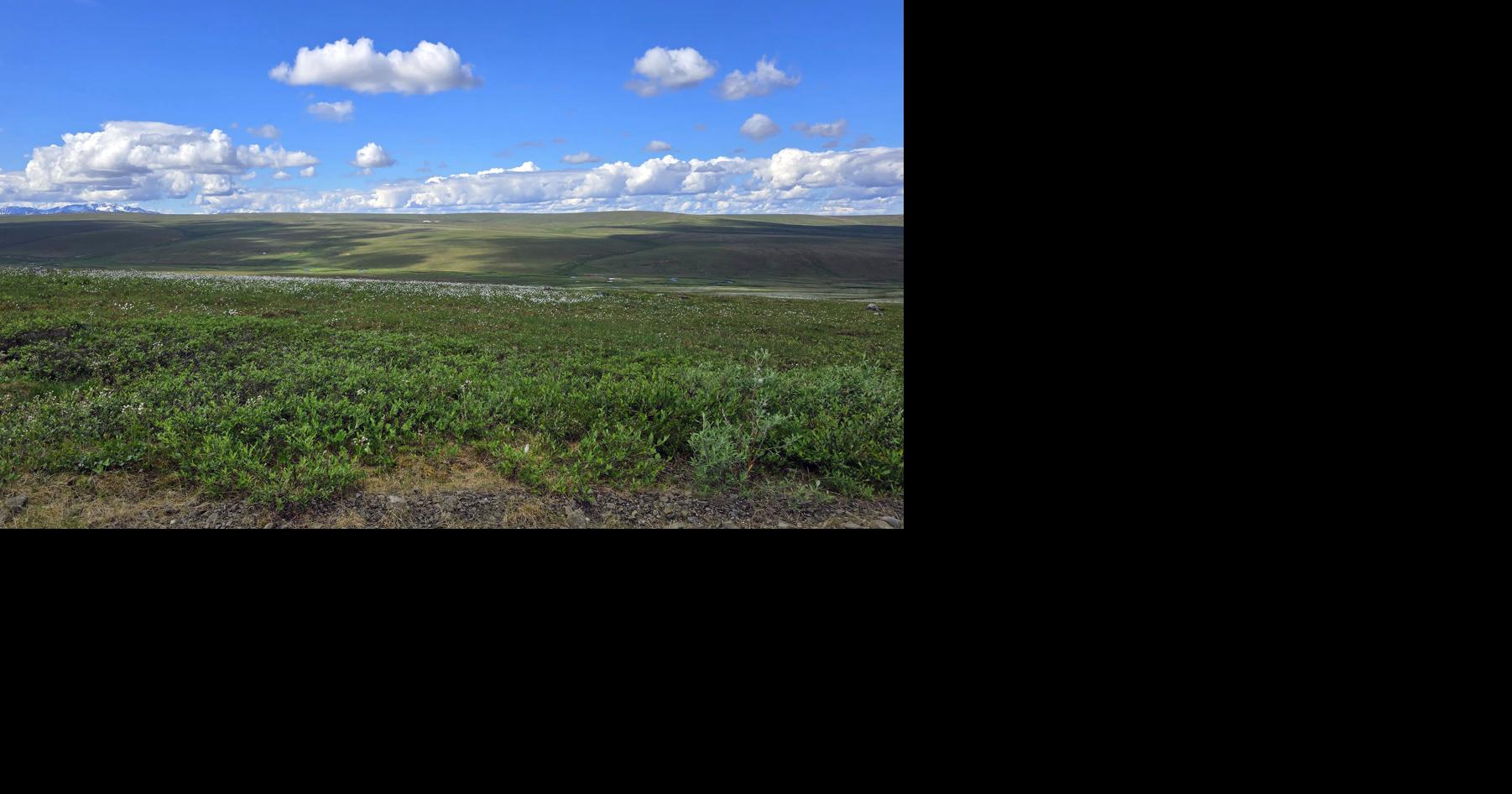 Science excursion to the Brooks Range seeks 7th-, 8th-grade applicants