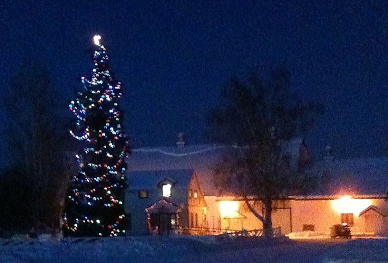 More My Best Photos Our Town