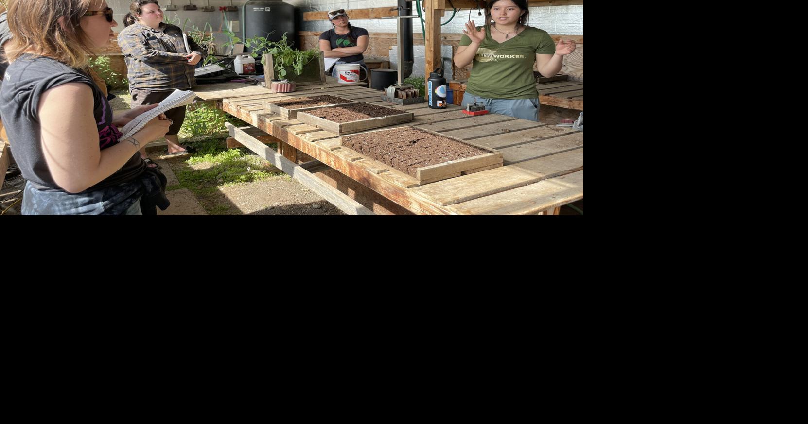 Indigenous roots: Calypso Farm to build on Alaska Native agriculture ...