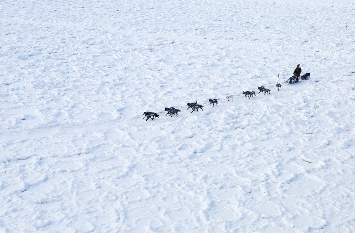 2015 Yukon Quest Carmacks Yukon Quest