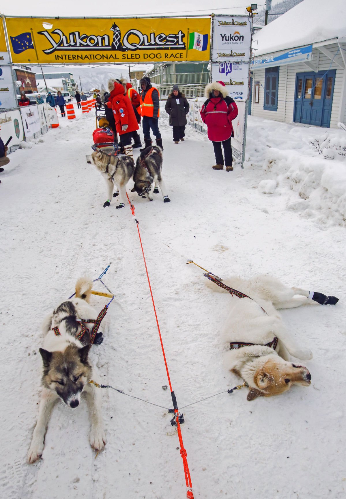 2019 Yukon Quest - Dawson City 3