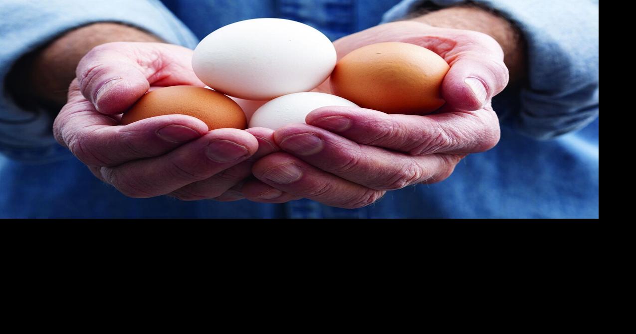 The scramble to find eggs in early Fairbanks