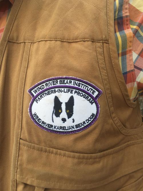 Karelian bear dogs