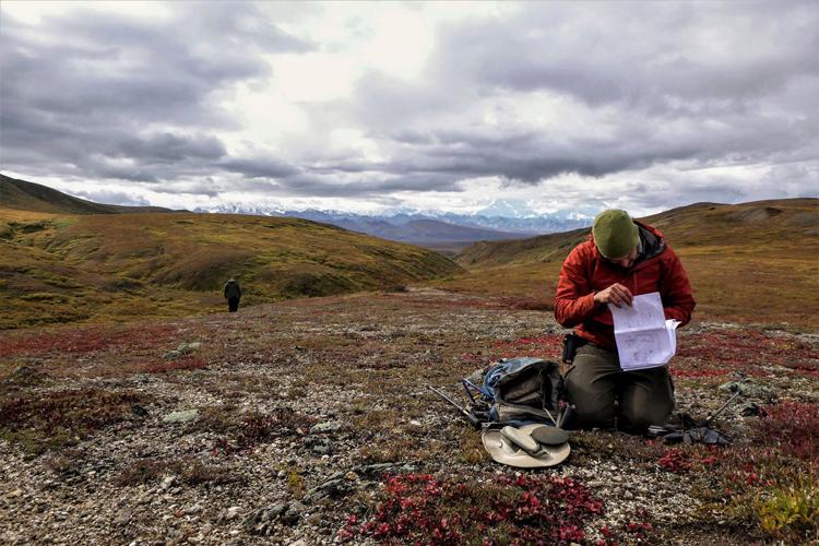 Poring over 13,000 years of human history in Denali | Local News ...