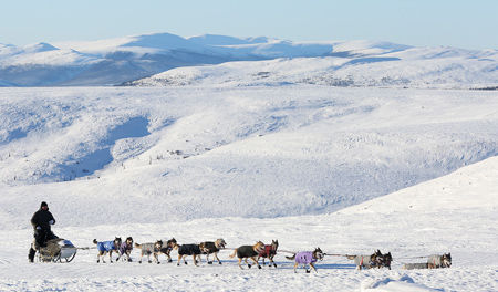 Yukon Quest: Eagle Summit