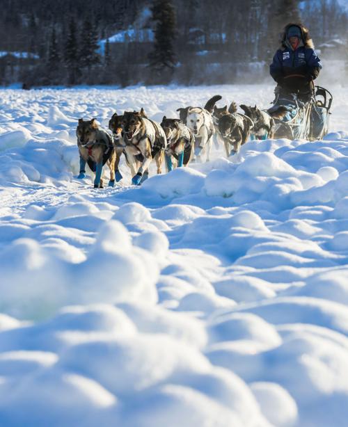 Yukon Quest - Carmacks