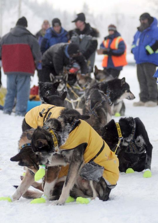 2014 Yukon Quest Carmacks Sports