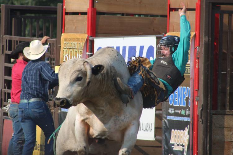 Rodeo Alaska returns to Fairbanks for another round of action | Local ...