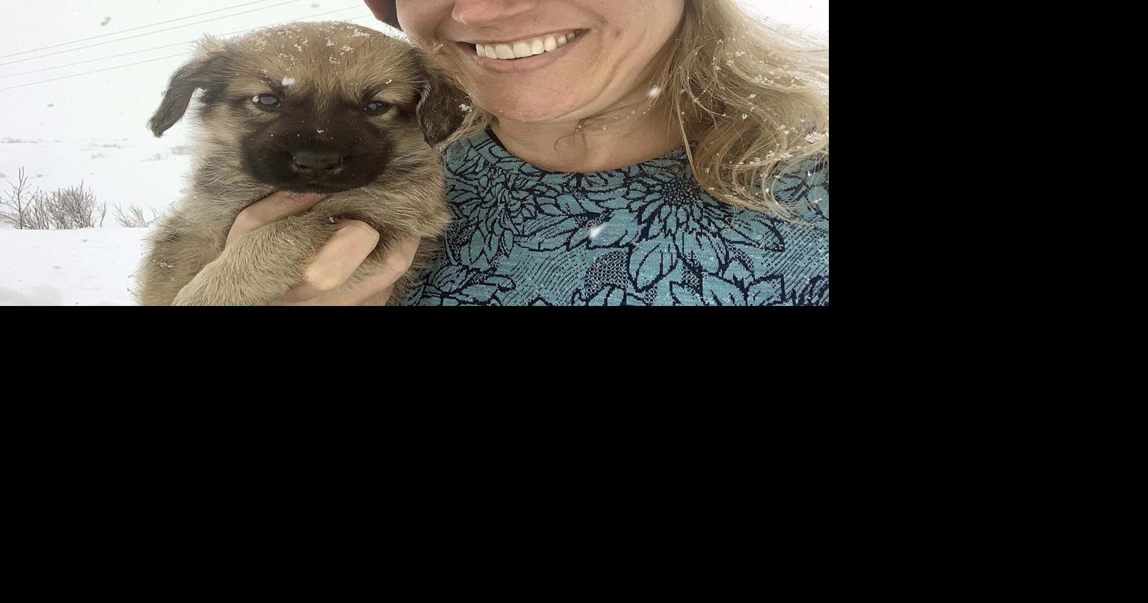 One Health alumna provides veterinary care in Southwest Alaska ...