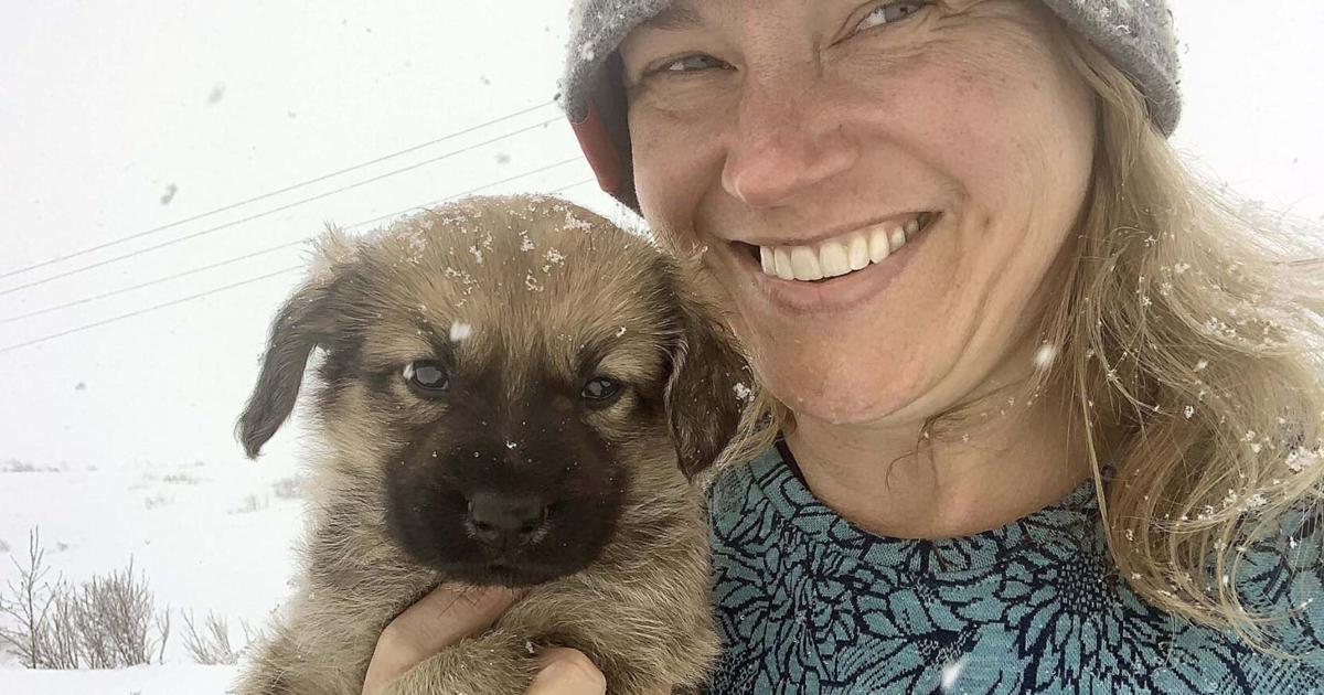 Robin Scheff Alaska One Health alumna provides veterinary care in Southwest Alaska ...