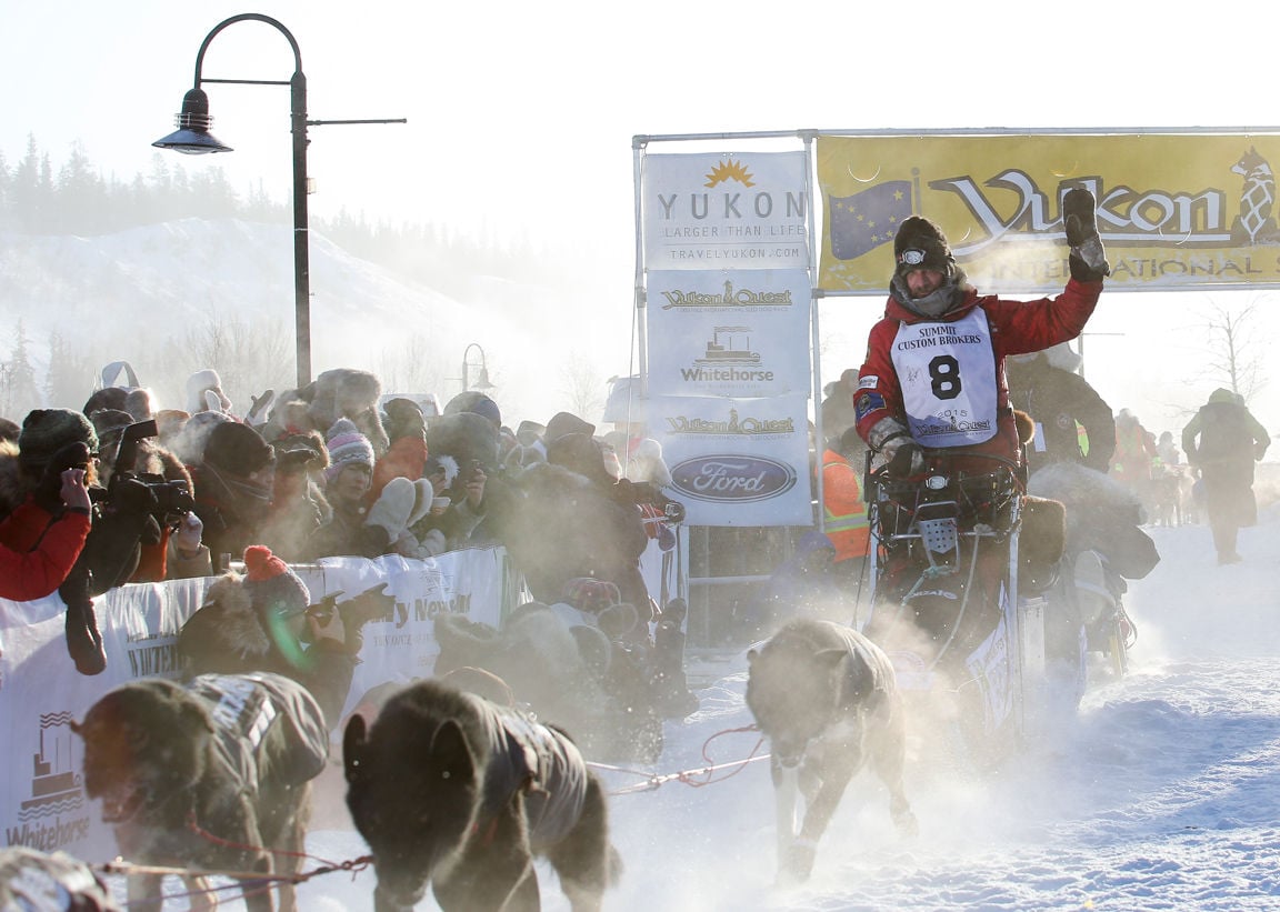 2015 Yukon Quest Start Yukon Quest