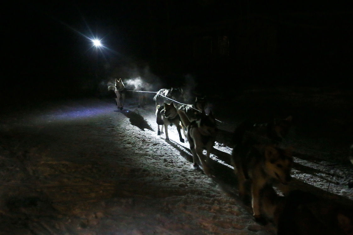 First Mushers into Eagle