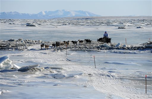 2014 Iditarod - Koyuk | Iditarod | newsminer.com