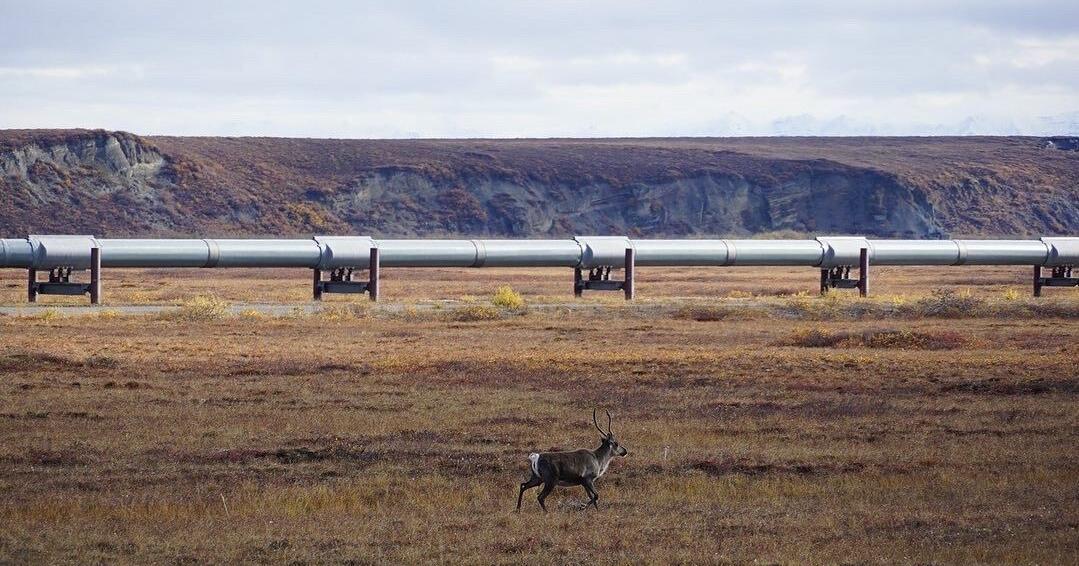 Amid Iran war, Alaska’s oil is selling with an extra premium on global markets