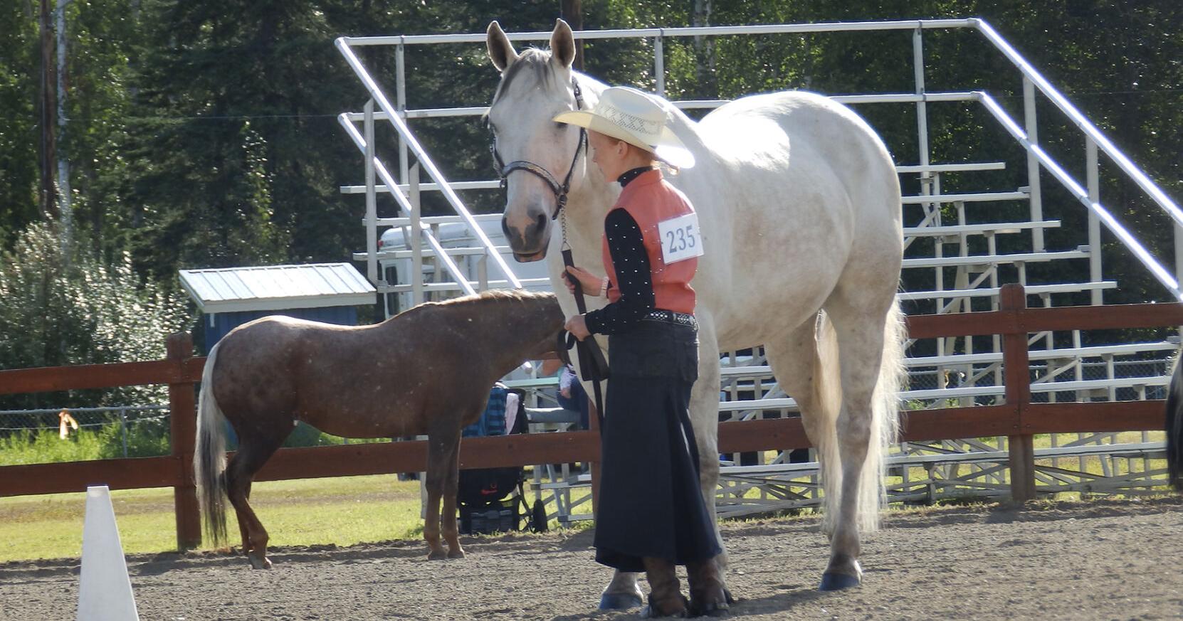 Tanana District 4-H'ers participate in state 4-H horse contest | Cooperative Extension - Vimarsana News