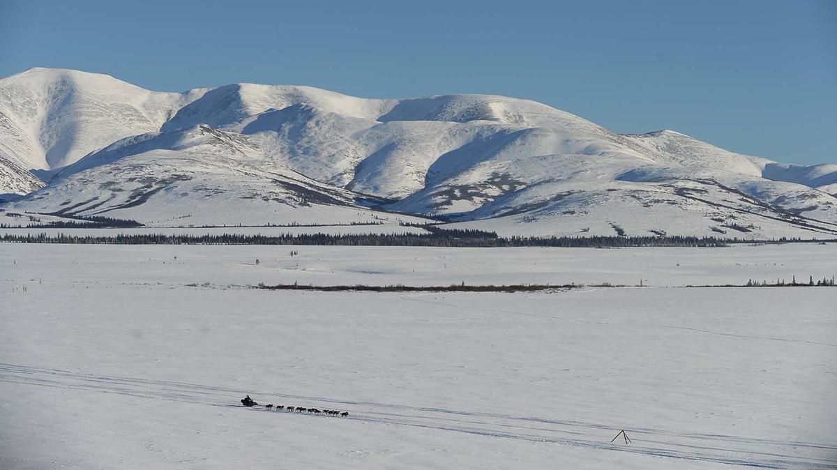 2017 Iditarod Kaltag Featured