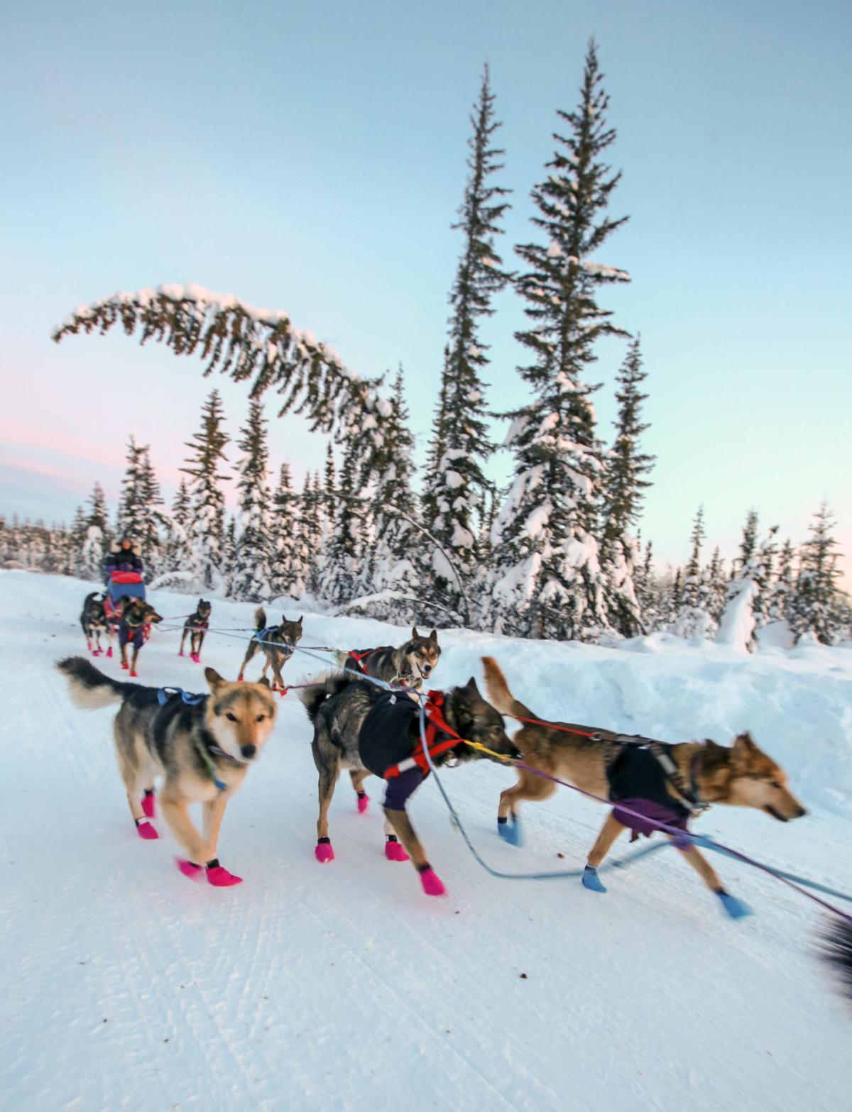 2019 Yukon Quest - Circle