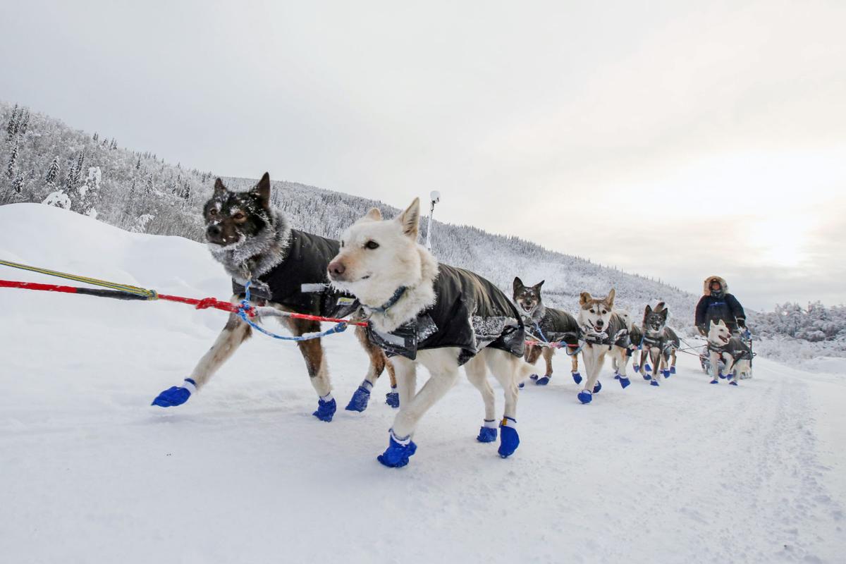 2019 Yukon Quest - Dawson City 3