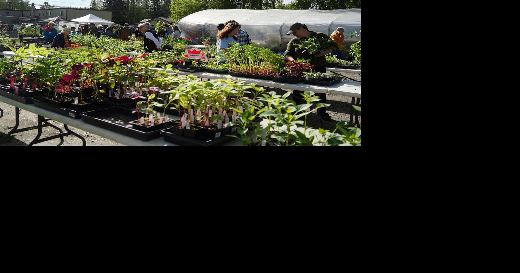 Hospice fundraiser blossoms again in Fairbanks