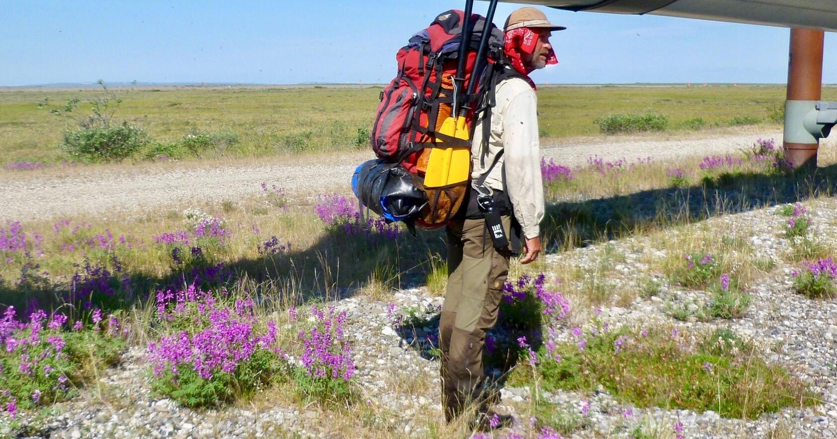 Writing in wide open spaces: Self-publisher explores the Arctic - Vimarsana News