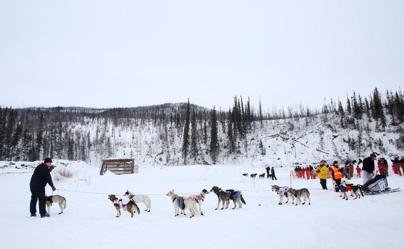 Eureka musher Brent Sass wins 2015 Yukon Quest Yukon Quest