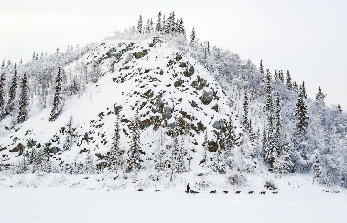 2019 Yukon Quest - Dawson City 3