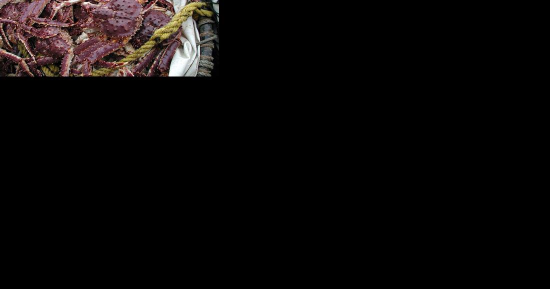 As the once-lucrative Bering Sea crab harvest resumes, Alaska's fishers face challenges | Alaska News - Vimarsana News