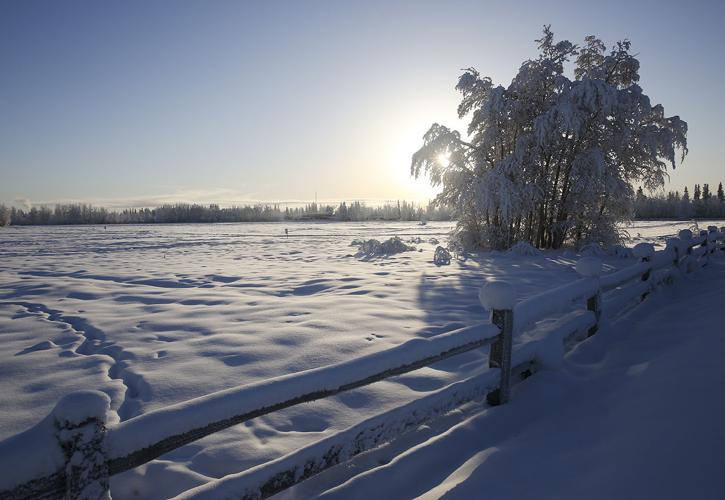 Creamer's Field is a popular place for birding Visitors Guide