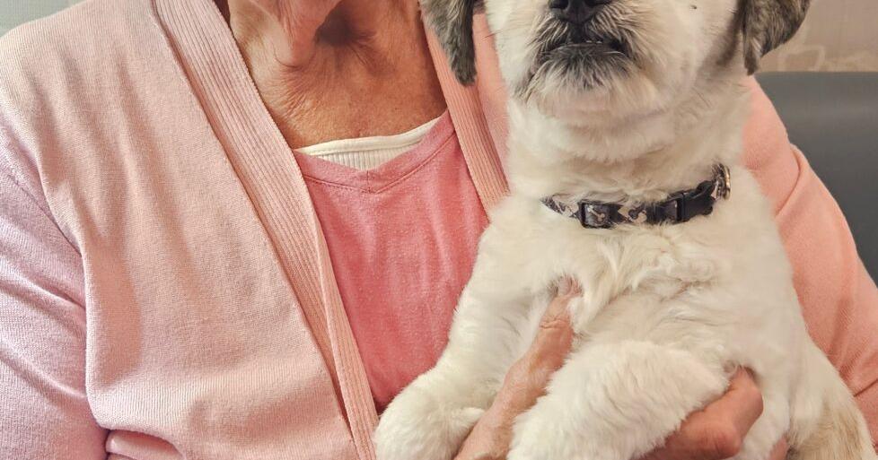 Pets Need Love Too 2026 campaign begins for senior pets