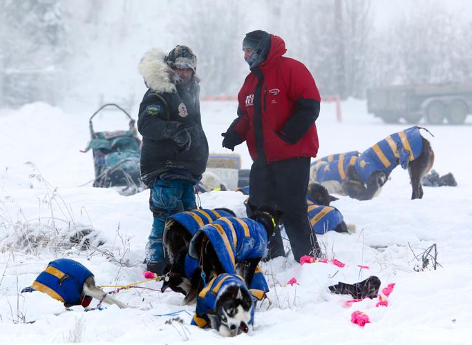 Yukon Quest musher Neff first in, out of cold Carmacks Yukon Quest