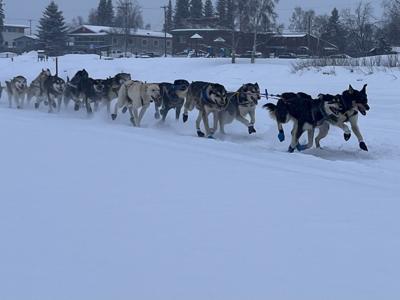 2025 Yukon Quest Alaska