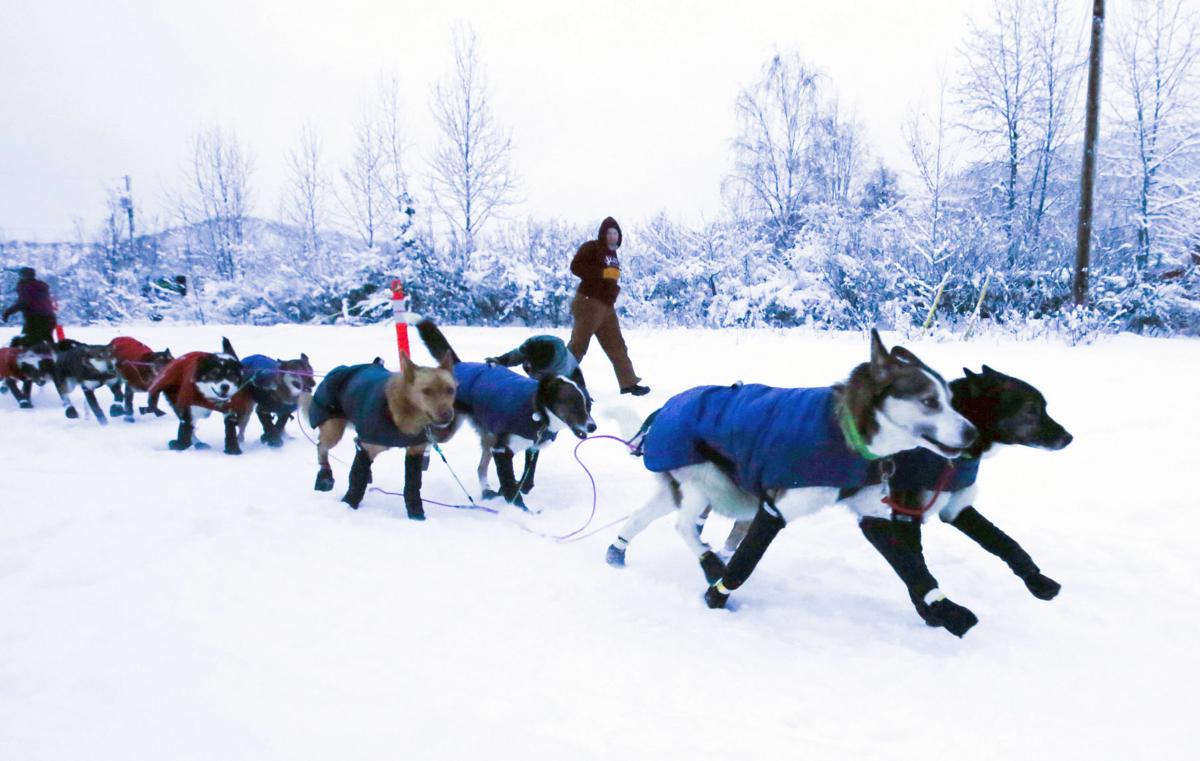 Yukon Quest - Dawson City