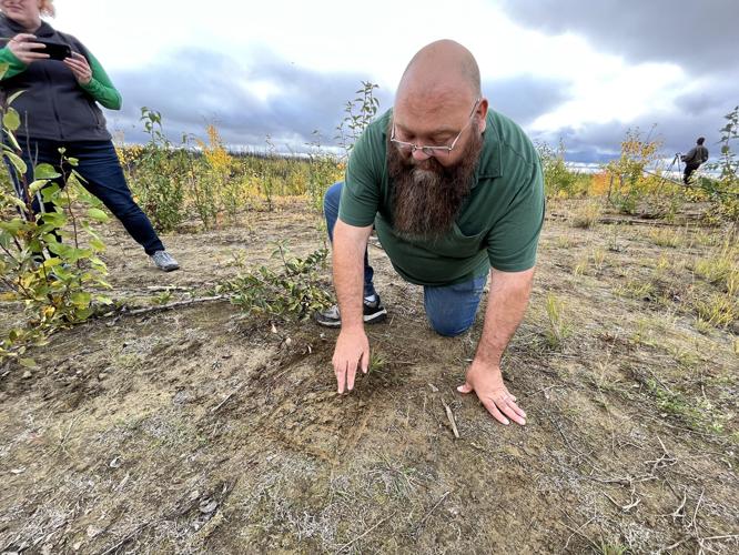 A look at the NenanaTotchaket Agricultural Project Local News